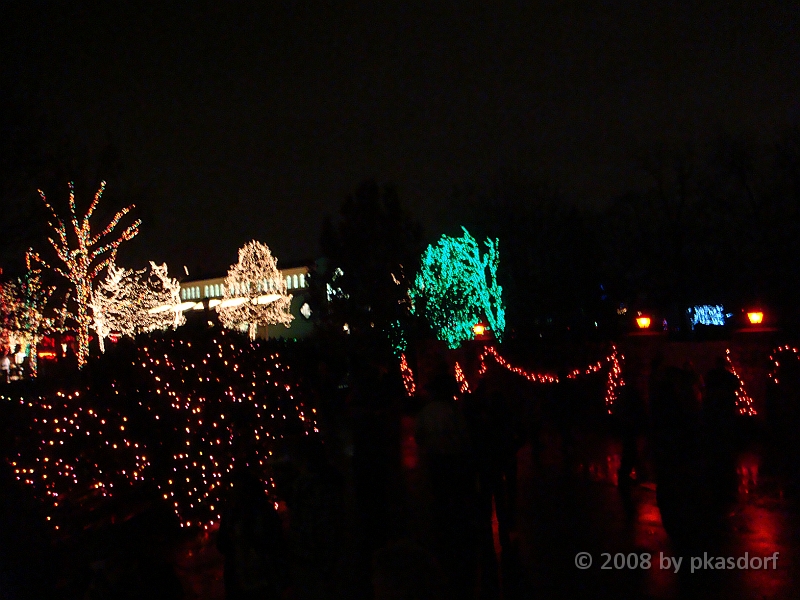 105 Toledo Zoo Light Show [2008 Dec 27].JPG - Scenes from the Toledo Zoo Light Show.